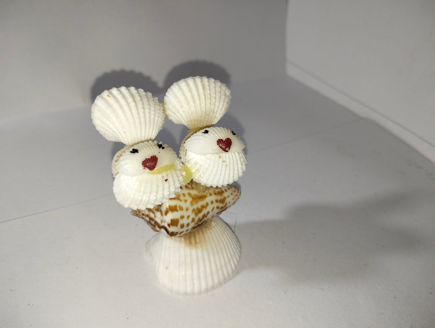 Shell Love Birds