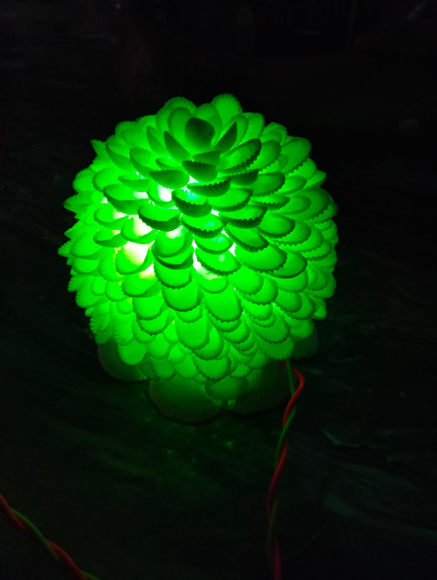 Lamp Light