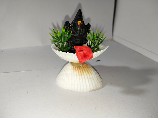 Shell with Lord Ganesha