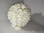 Sea Shell Bouquet