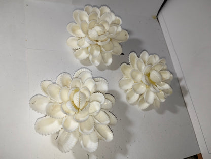Sea Bloom Flowers