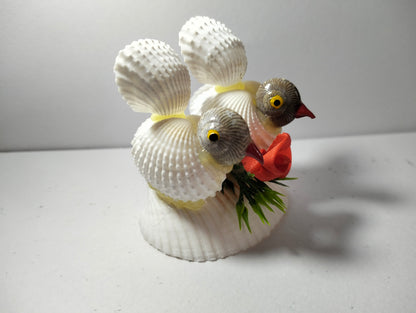 SeaShell Birds Delight
