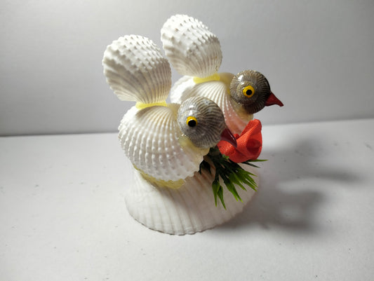 SeaShell Birds Delight