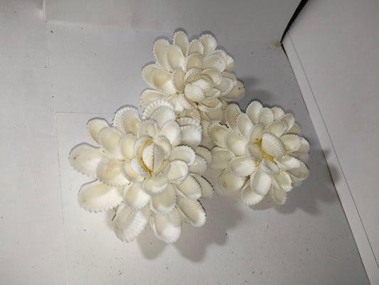 Sea Bloom Flowers