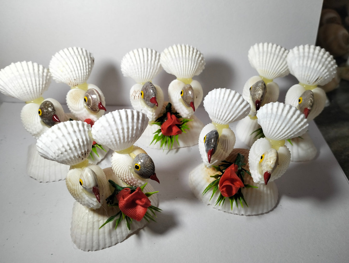 SeaShell Birds Delight ( 5-Five Piece)