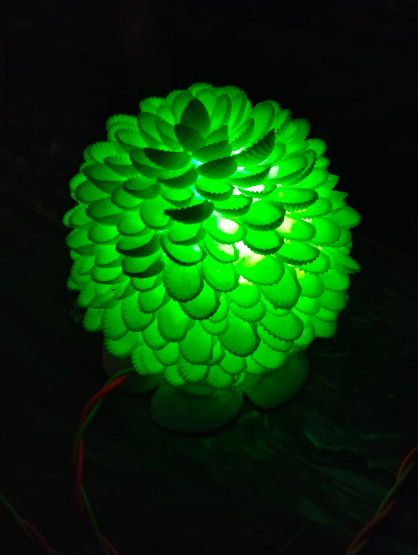 Shell Bloom Night Lamp