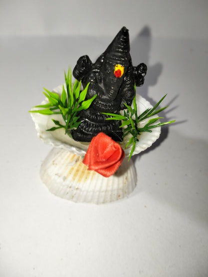 Shell with Lord Ganesha