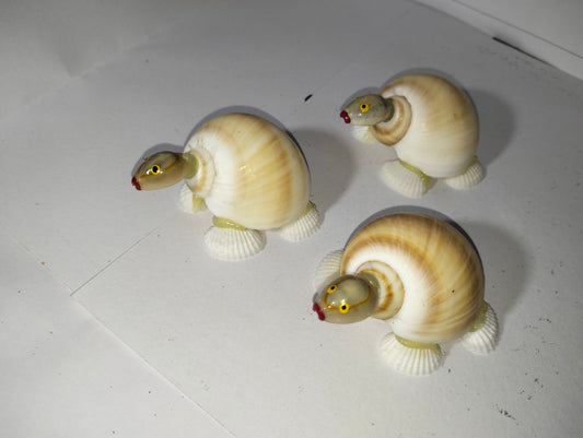 Sea Shell Turtles